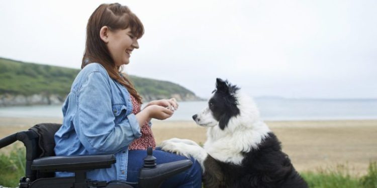 Dog Training: Come