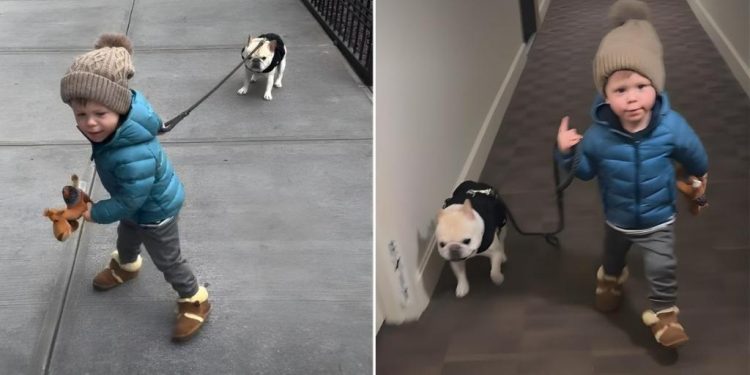Video of a Dog Being Walked by a Kid Is Everything