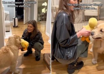 Video: Dog Mom Reveals Real Reason Friends Come To Visit Her