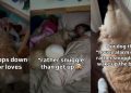 Golden Retriever Tries to Wake the Kids — Ends Up Snuggling Instead