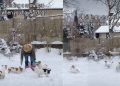 Video: What It’s Like to Build a Snowman With 5 Dogs Around