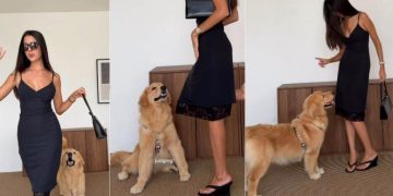 Video: Golden Retriever Hijacks Mom’s Fit Check & Demands Attention