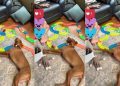 Video: This Smart Dog Knows Exactly When to Join Kid’s Playtime