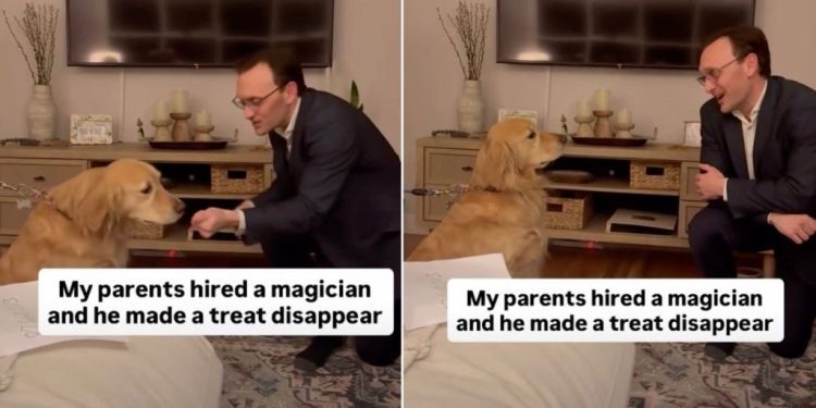 Golden Retriever Reacts to Magician Making Her Treat Disappear