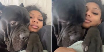 Dog Was Adorably Clingy During Owner’s Pregnancy