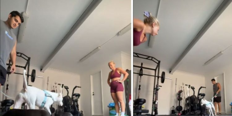 Video: Dog Bonds With Escaped Puppies Like They’ve Known Each Other Forever