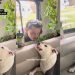 Video: Dog Doesn’t Want Dad to Leave for Work