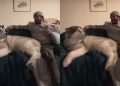 Video: Dog Sighs as Dad Insists There’s ‘Enough Room’ on Couch