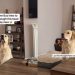 Video: This Is What Happens When Dog Tries To Form a Thought