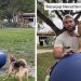 Rescue Dog’s Efforts to Herd a Giant Ball End Unexpectedly