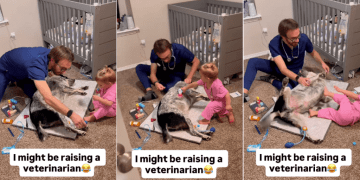 Dog Has the Best Time When Little Girl & Dad Play Doctor With Him