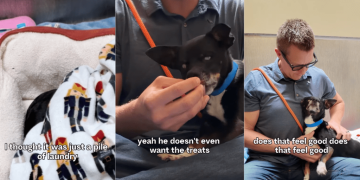 Blind Shelter Dog Chooses Love Over Treats & Finally Gets a Name
