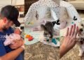 Senior Dog Is Gentle With the Baby but Throws in a Side Eye Sometimes