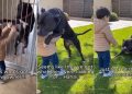 Rescue Dog’s Instant Bond With Little Boy Becomes the Reason She Finds a Home