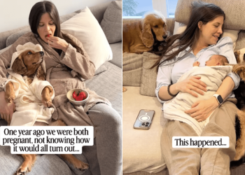 Pregnant’ Dog & Mom Have Their Babies Growing up Together Like a Fairytale