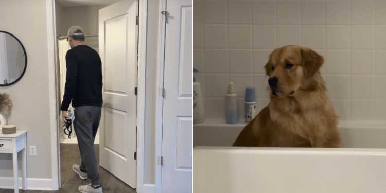 Golden Retriever Loves Sitting in Bathtub Just To Reflect