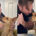 Rescue Dog Gets a New Hairstyle & Internet Has Some Thoughts