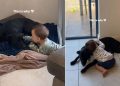 Dog & Little Boy Growing up Together Shows a Bond That Only Gets Better With Time