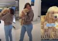 Golden Retriever Puppy Meets New Parents & Instantly Falls in Love