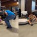 Human & Service Dog Are ‘Pre-Match Made in Heaven’ & This Video Is Proof
