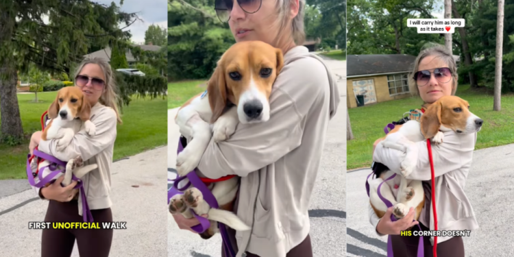 Foster Dog’s Progress Is ‘Measured in Tiny Moments’ Each Equally Significant