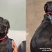 Dog Is ‘Perfect Angel’ at the Vet but Clings to Mom for Comfort When She’s Scared