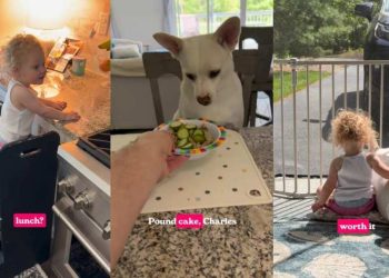 Deaf Rescue Dog Understands Dad’s Gesture To Sit Close to Little Girl for Lunch