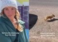 Local Man Desperate To Give Street Dog a Better Life Rescues Him