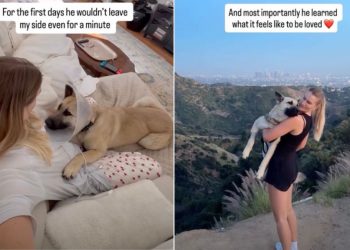 Abandoned Rescue Dog Learns What Its Like To Be Loved in New Home