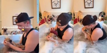 Dad Gives His Childhood Dog of 16 Years a Warm, Well-Deserved Bath