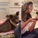 Shelter Dog Once Stuck Behind Kennel Bars Now Has the Dream Life & a Happy Ending