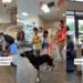 Shelter Dog Lived Anxiously Until a Loving Family Welcomed Him With Open Arms
