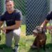 Shelter Dog Has Odds Stacked Against Her, but Waits for Someone to Look Past Them