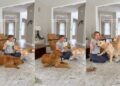 Mom Includes Three Curious Golden Retrievers in Baby’s Fun Activity