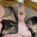 Baby Uses Dog’s Floppy Ears as ‘Sensory Toy’ & He Happily Obliges