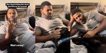 Dog Has the Sweetest Way of Telling His Deaf Dad He’s Scared of Fireworks