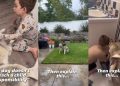Gentle Husky Is Teaching Little Boy One of Life’s Greatest Lessons