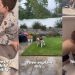 Gentle Husky Is Teaching Little Boy One of Life’s Greatest Lessons