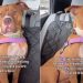 Rescue Dog Realizes He’s Back in the Shelter That Terrifies Him After Brief Moments Outside