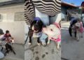 Shelter Dogs Have Already Lost Their Family, but Now They Risk Losing Each Other as Well