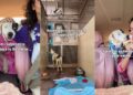 Human Struggles To Bring Shelter Dog Back to His Kennel, Knowing What Awaits Him