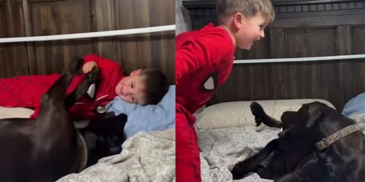 Neighbor’s Dog Came To Say Goodnight, but the Kids Were Too Fun To Leave