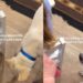 Dog’s Idea of Personal Space Doesn’t Apply to His Favorite Little Girl