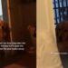 Golden Retriever Opens the Door To Check on Mom, Then Walks Away but Doesn’t Leave Just Yet