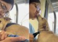 Nervous Dog Hates Nail Trims Until Groomer Finds the Sweetest Way to Calm Her