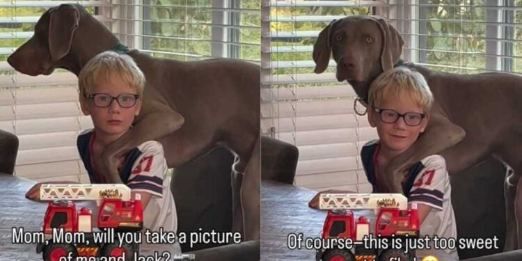 Boy & His Dog Have the Kind of Friendship Mom Has to Stop & Film