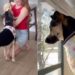 Dog Meets a Golden Retriever Puppy of Her Own — Her Excitement Is Impossible to Contain